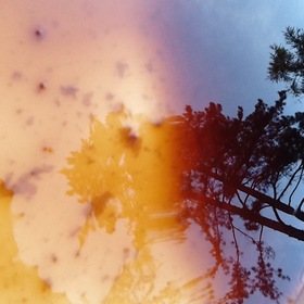 Photo_copy_2