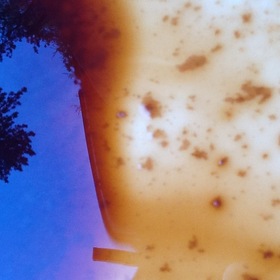 Photo_copy_4