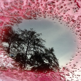 Photo_copy_12